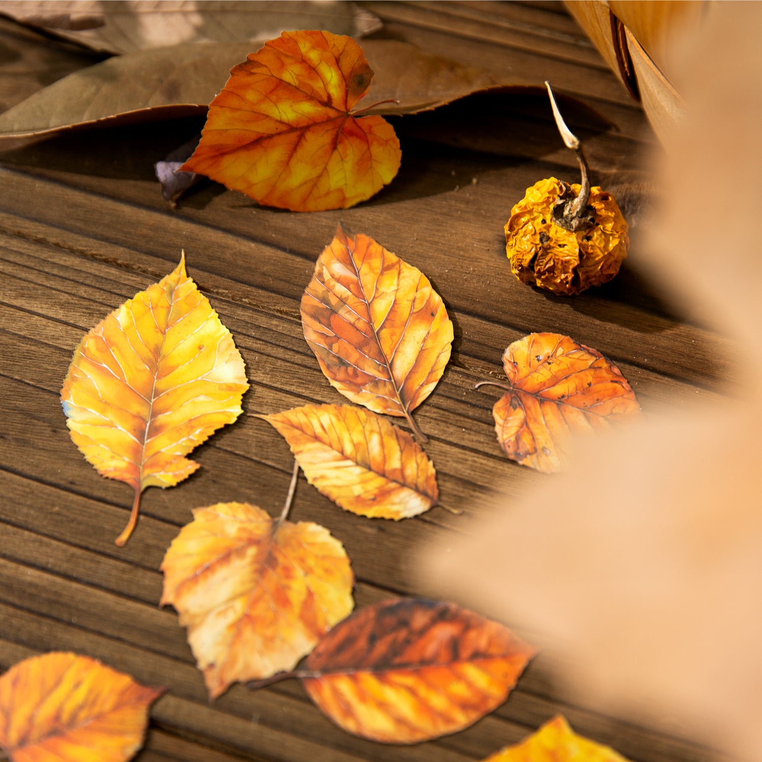 20 Pcs Seasonal Leaf PET Stickers LYPZ