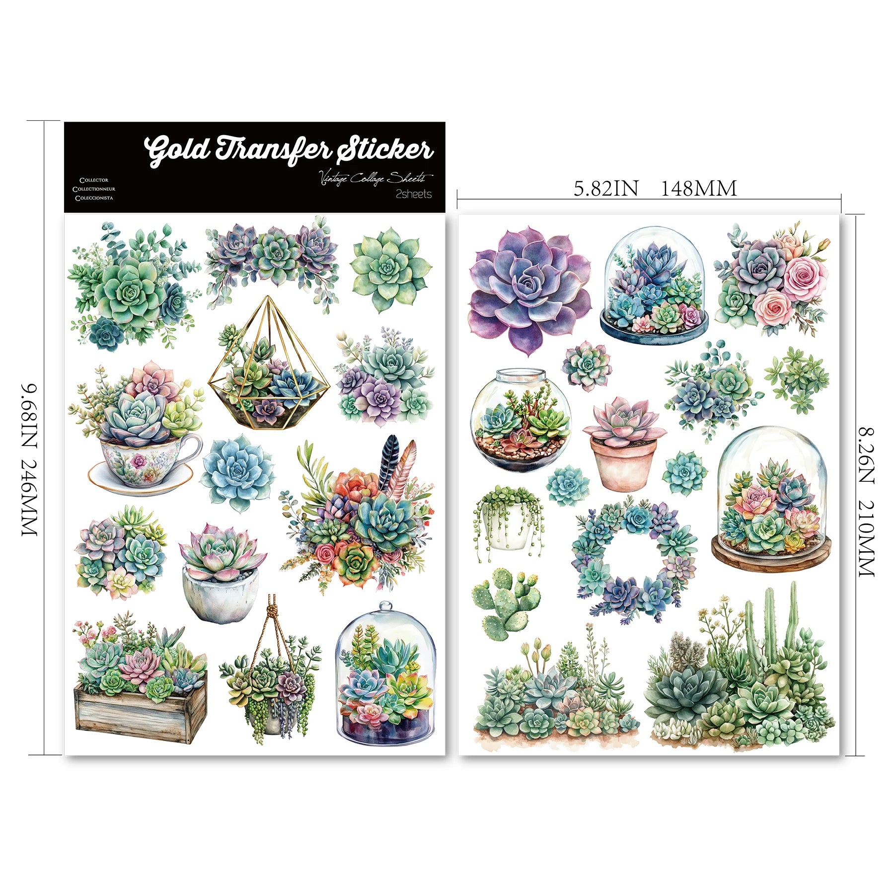 2 Sheets Waterproof Rub on Stickers - Succulents
