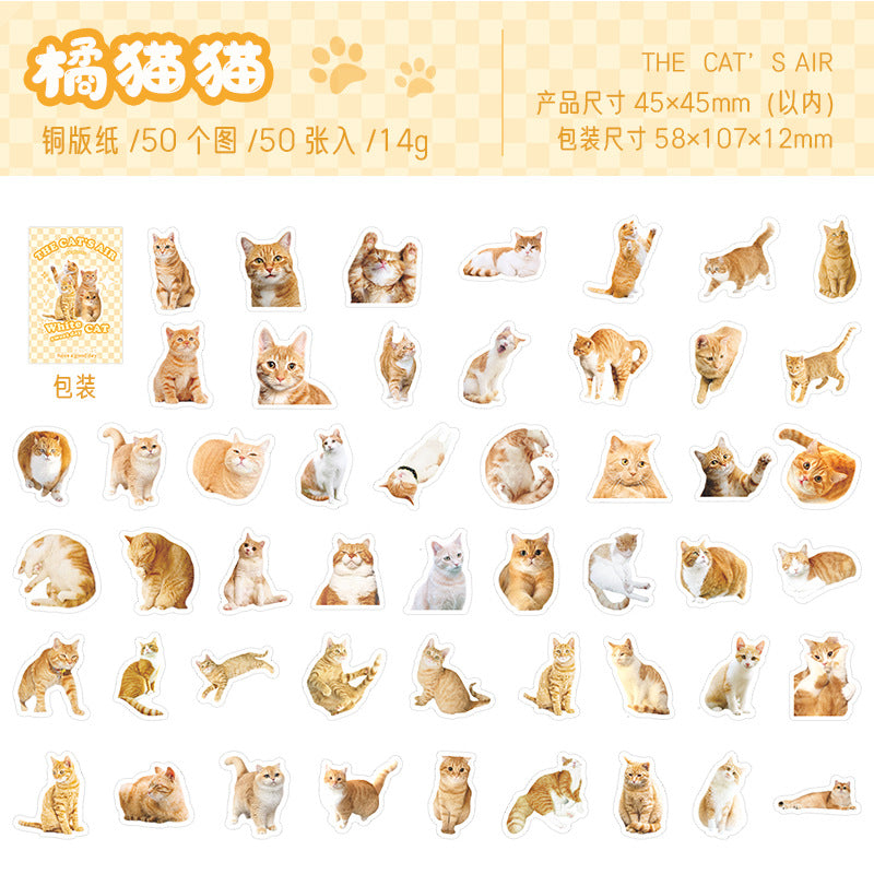 Xikomo Cat Stickers