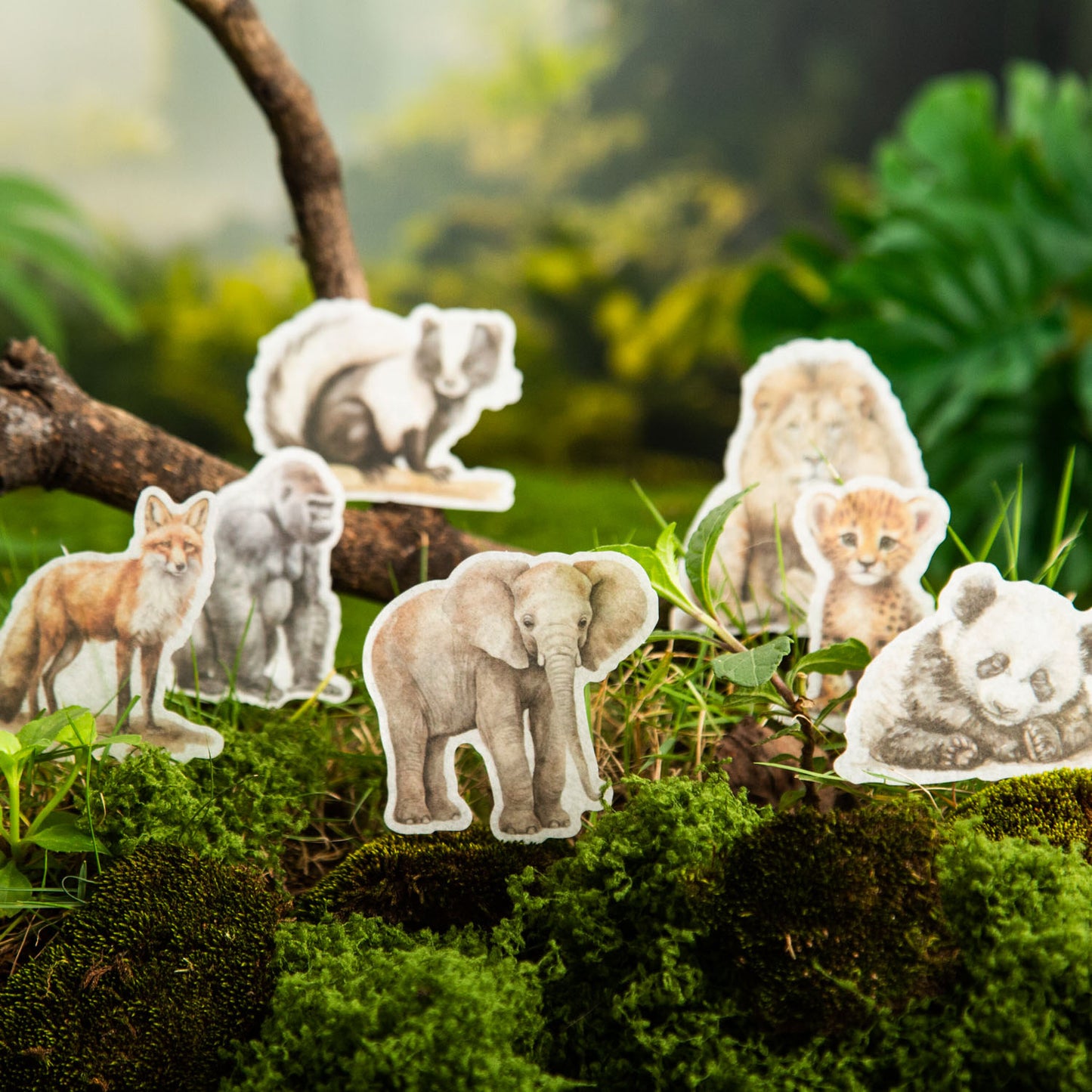 50 Pcs Animal PET Stickers DWZDY