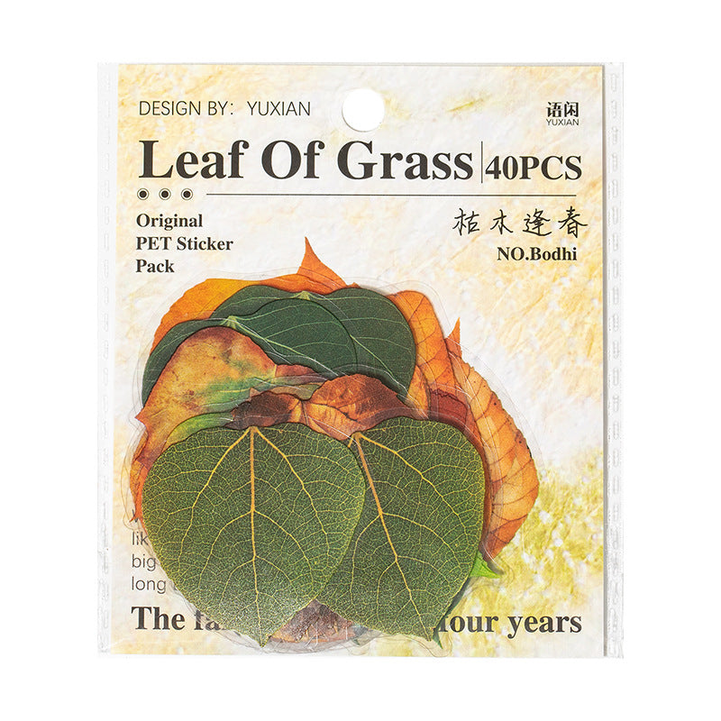 40 Pcs Pressed Leaf Stickers QDZY