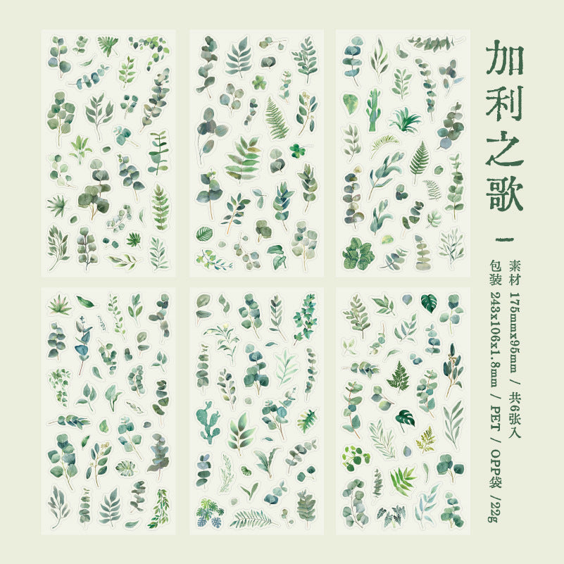 6 Sheets PET Flower Stickers HYCT
