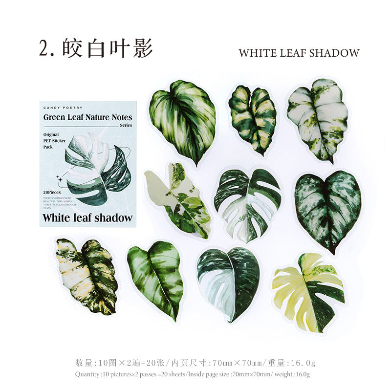 20 Pcs Big Size Leaf Stickers LYZRSZ