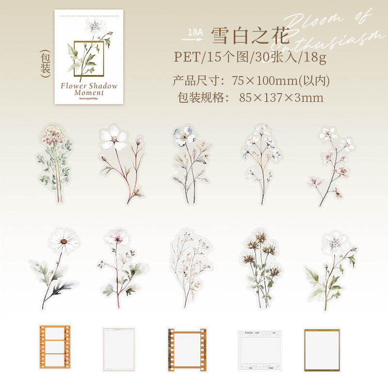 30 Pcs Flower and Frame PET Stickers HYSJ