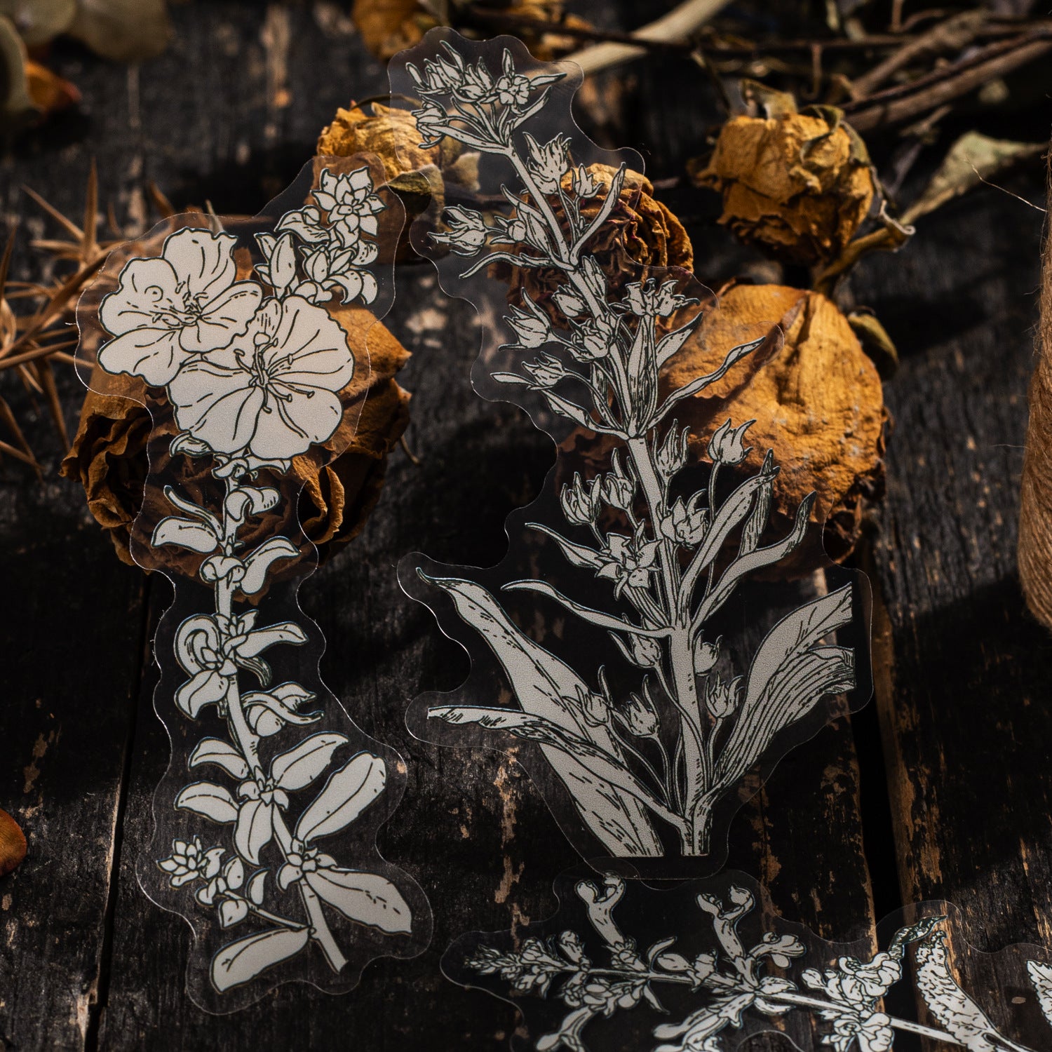 20 Pcs Plant PET Stickers HJCT