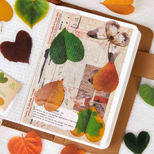 40 Pcs Leaf Texture PET Stickers YZZRCS
