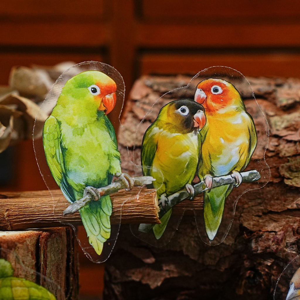 50 Pcs Nature Theme PET Stickers BLSJ