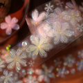 Floral Decorative Tape Rolls- Petit Floral