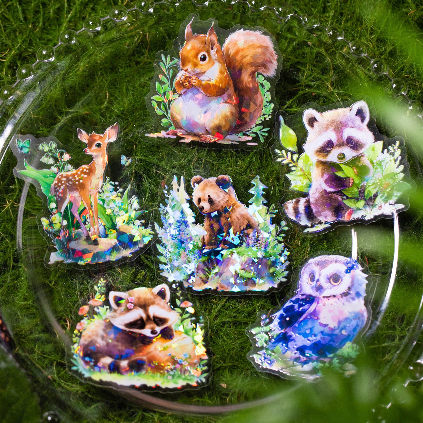 10 Pcs Animal PET Tape DWXXSL