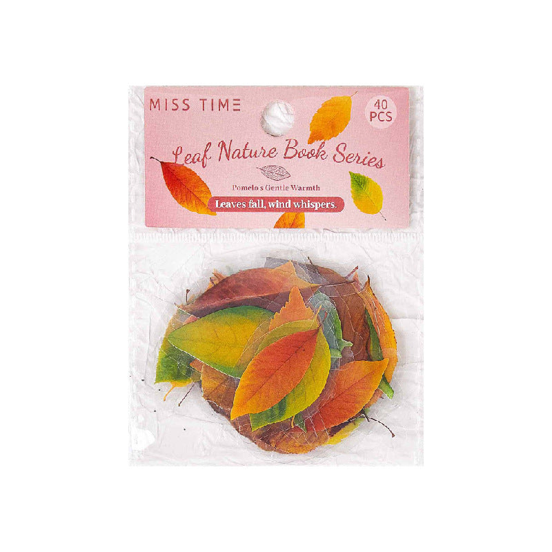 40 Pcs Leaf Texture PET Stickers YZZRCS