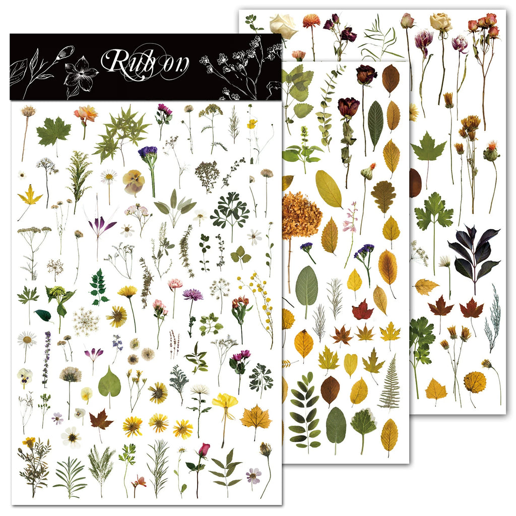 3 Sheets Rub on Stickers - Botanical