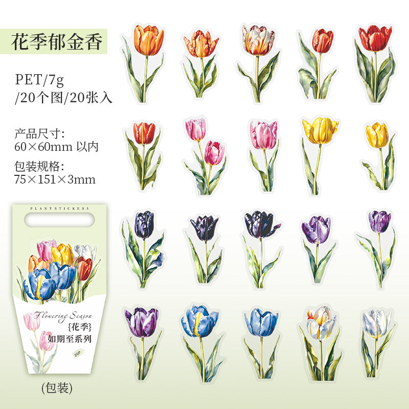 20 Pcs PET Flower Stickers HJRQZ