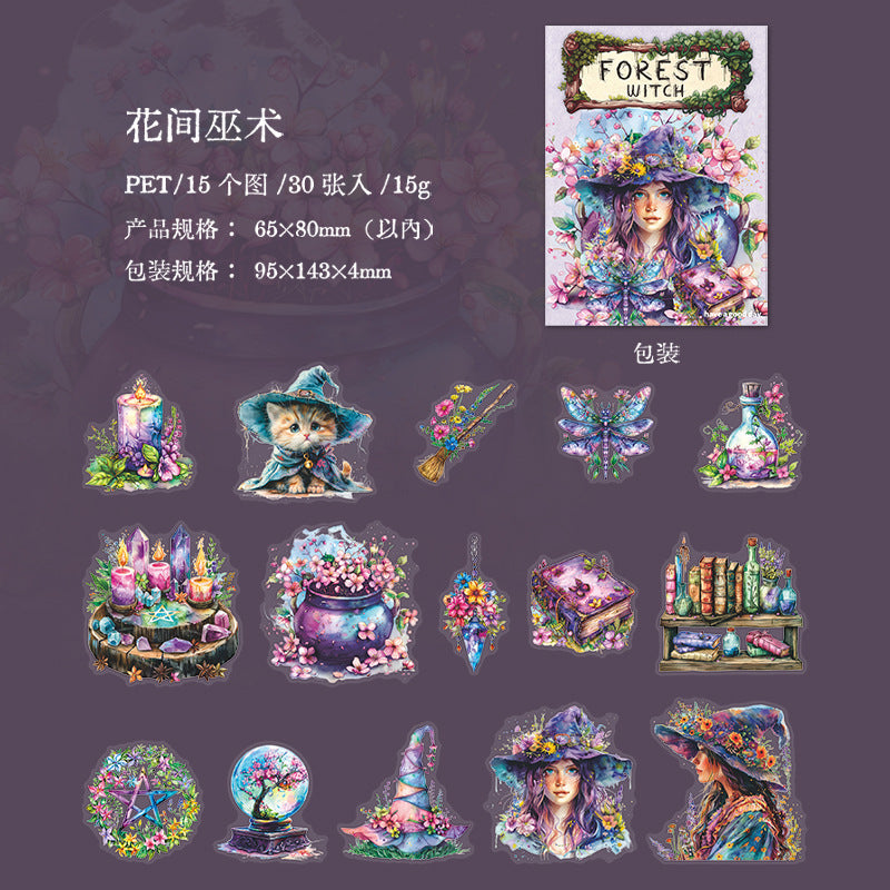 30 Pcs Magic Themed PET Stickers SLNW