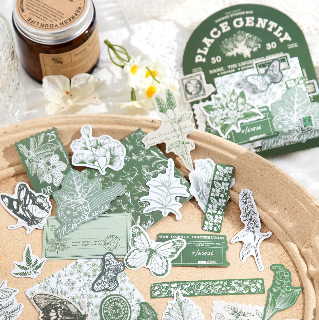 30 Pcs Vintage Scrapbook Stickers FZWR