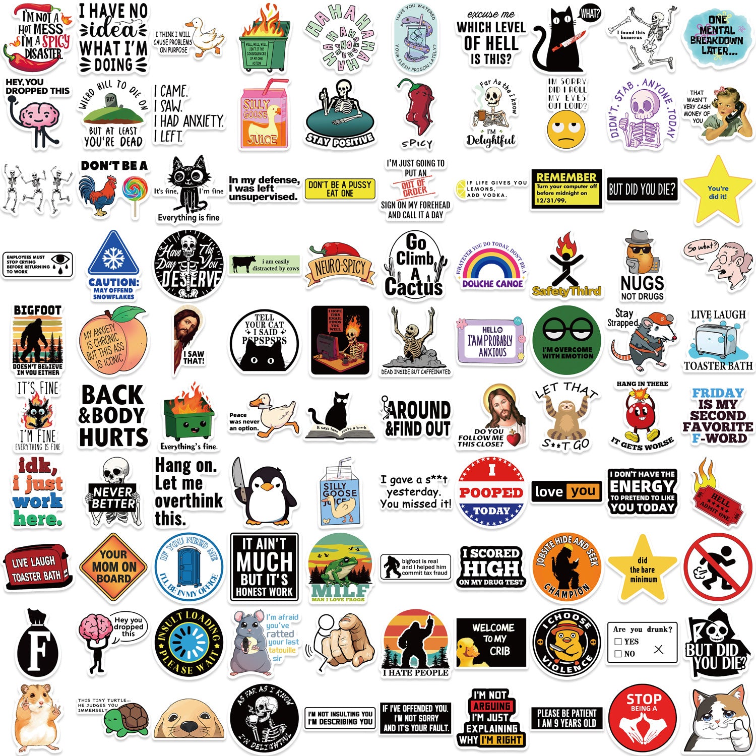 50PCS Funny Sarcastic Meme Vinyl Stickers FUN02