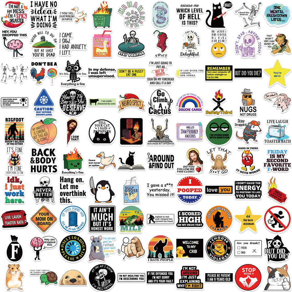 50PCS Funny Sarcastic Meme Vinyl Stickers FUN12