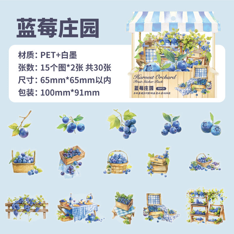 30 Pcs Fruit Shop PET Stickers FSGY