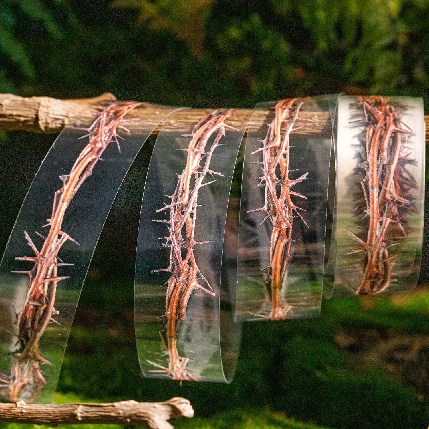 1 Roll Thorns Vines PET Tape JJIXL