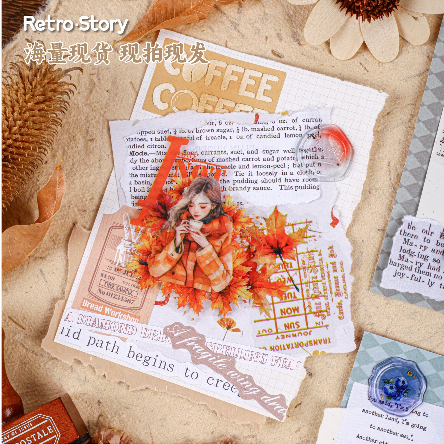 16 Pcs Winter Girl PET Stickers DNXL