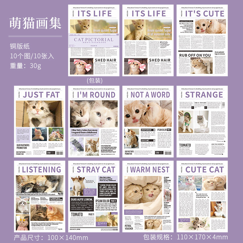 Hakan Cat Stickers Book