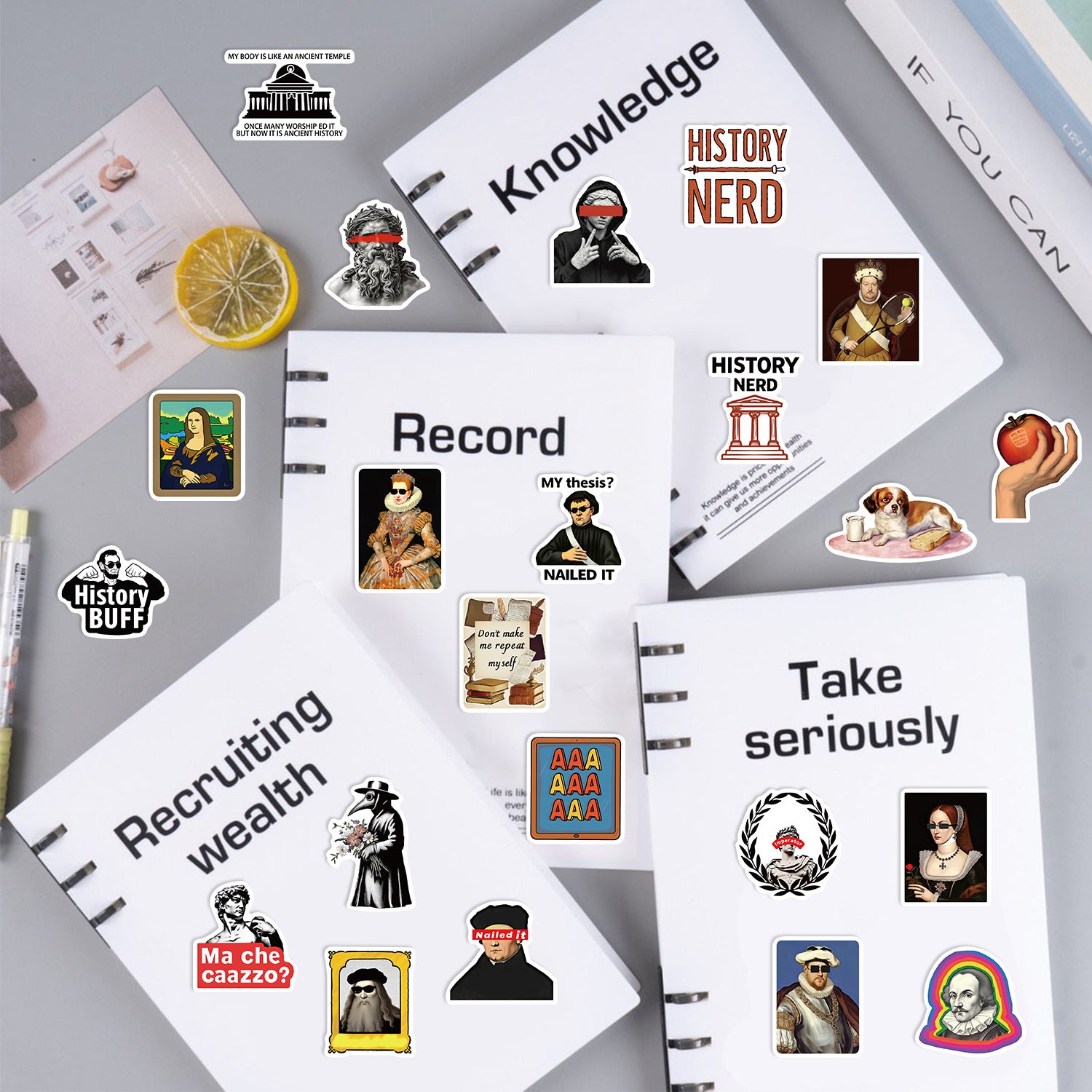 50PCS Funny Sarcastic Meme Vinyl Stickers FUN14