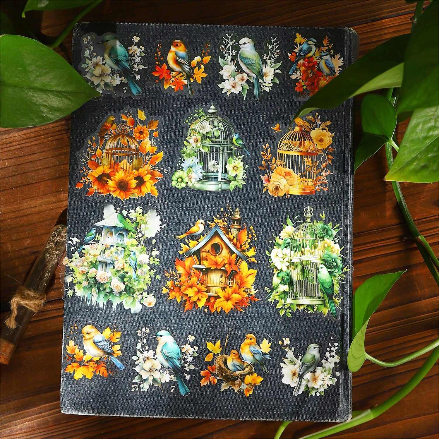30 Pcs PET Bird Stickers NYHS