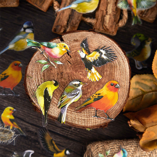 30 Pcs PET Bird Stickers LJYY