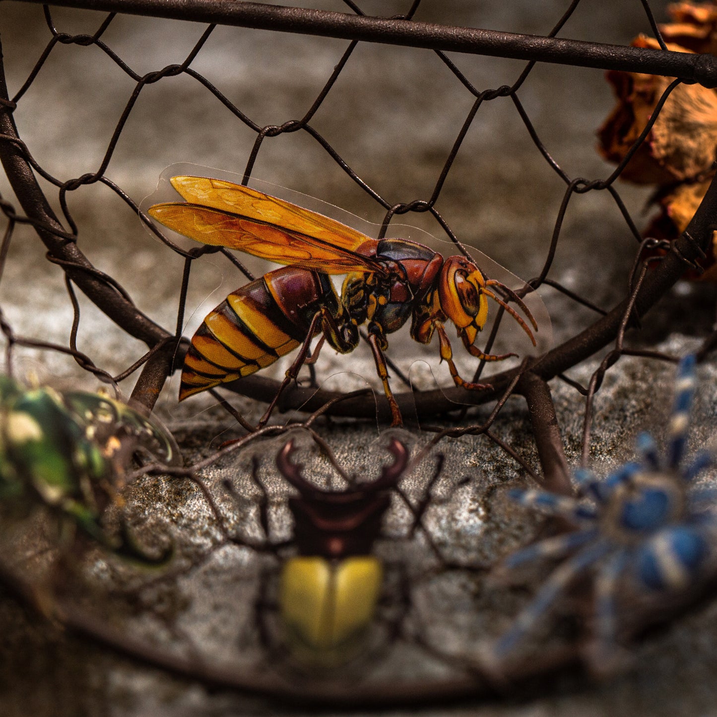 25 Pcs Insect PET Stickers KCBBTJ