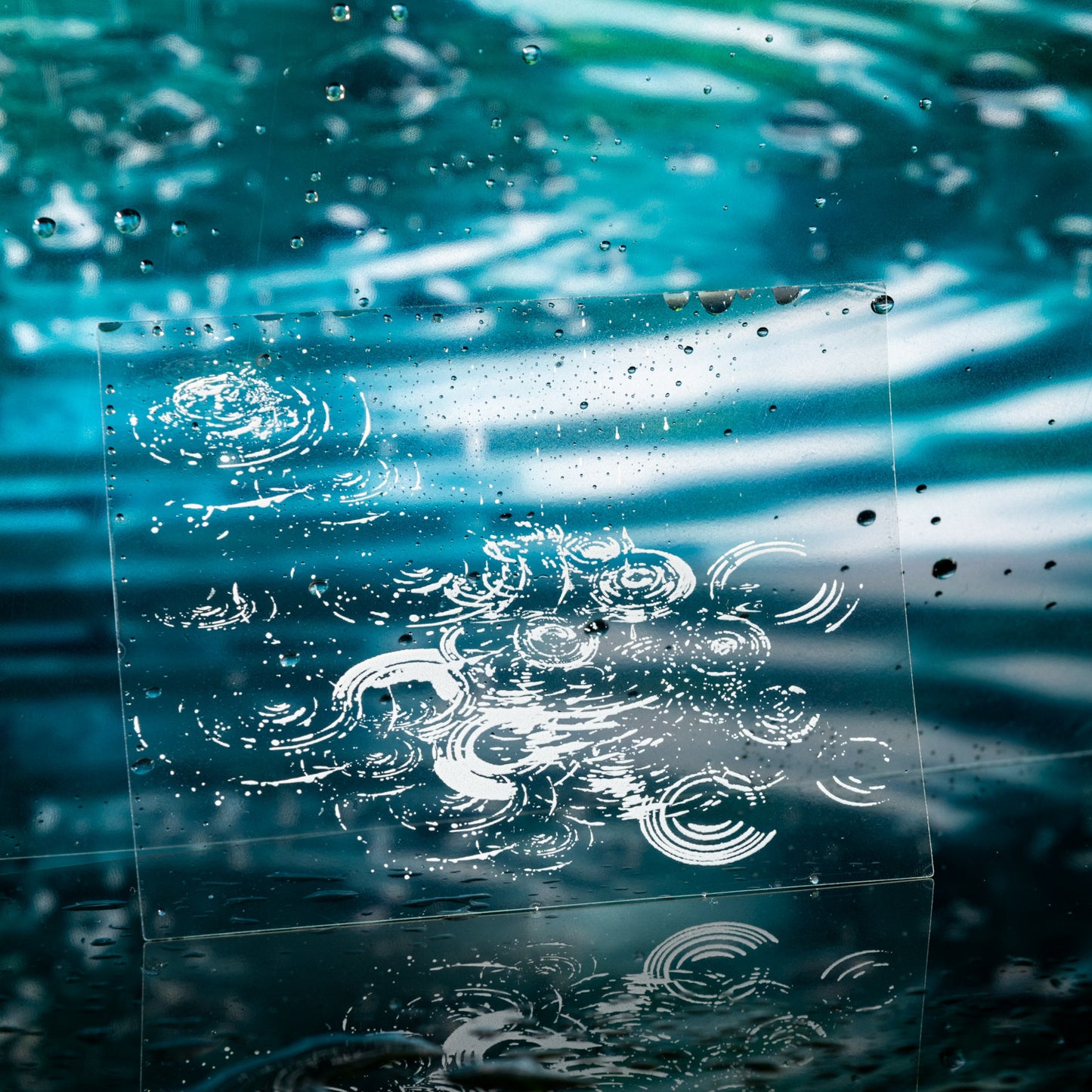 20 Pcs Natural Element PET Stickers ZRJ