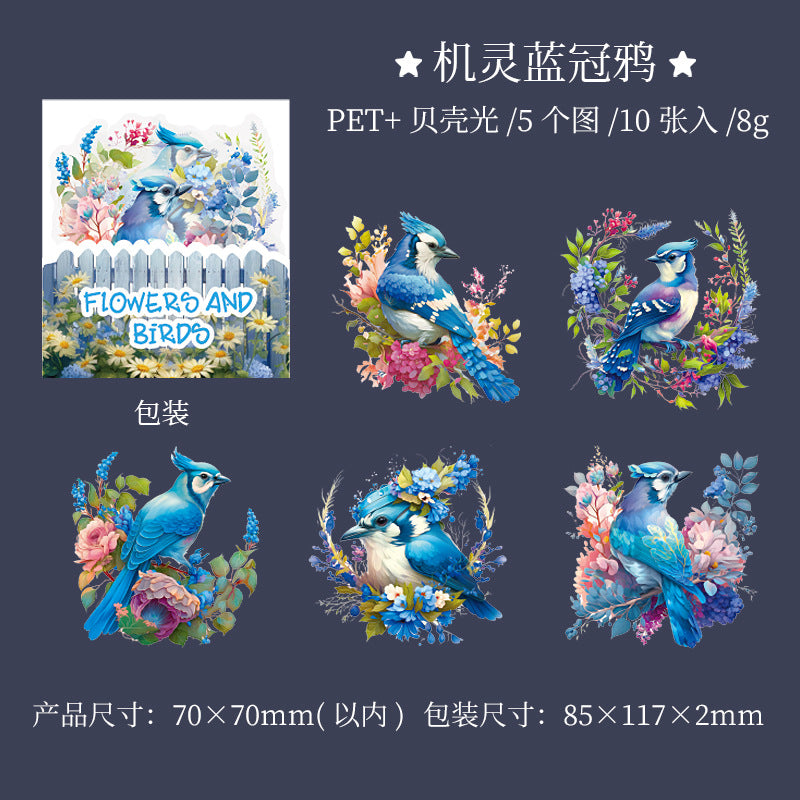10 Pcs PET Bird Stickers HCFN