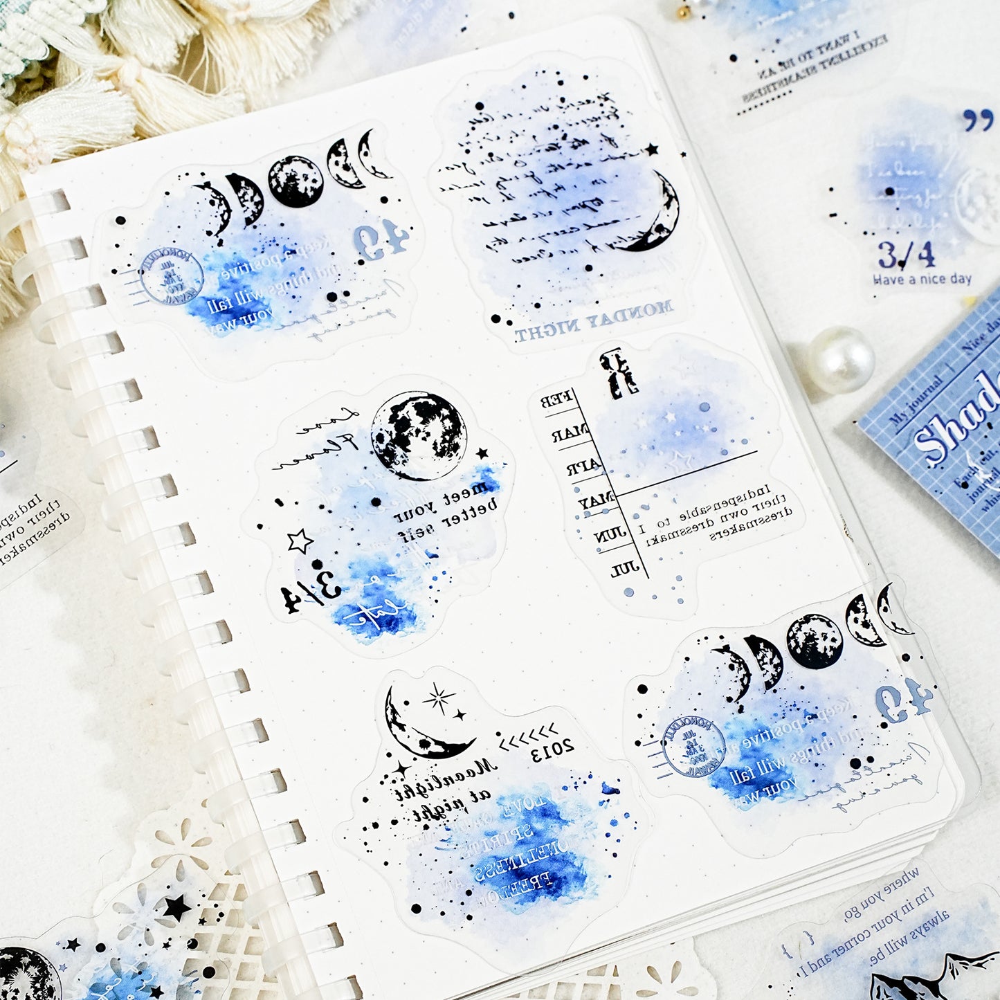 15 Pcs Vintage Collage PET Stickers WYCH