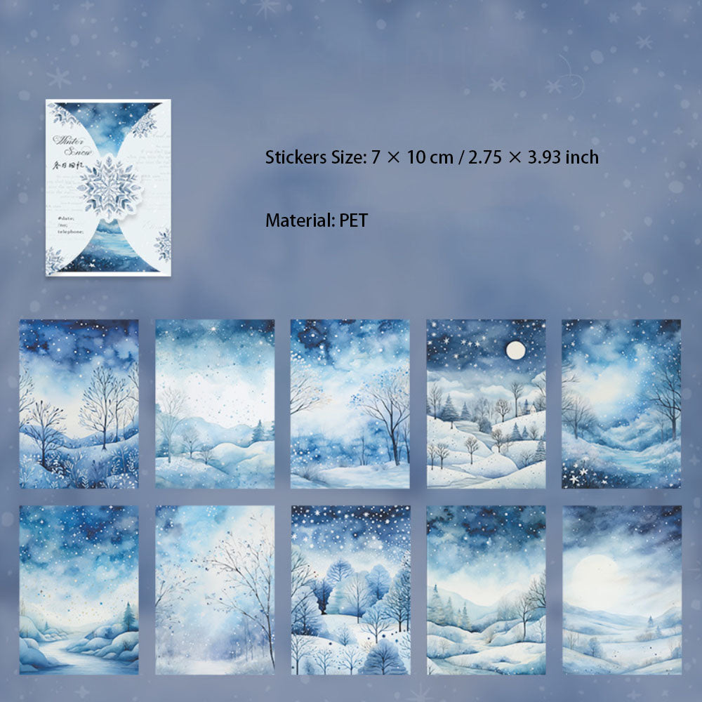 20 Sheets Snow PET Stickers DRDYCX