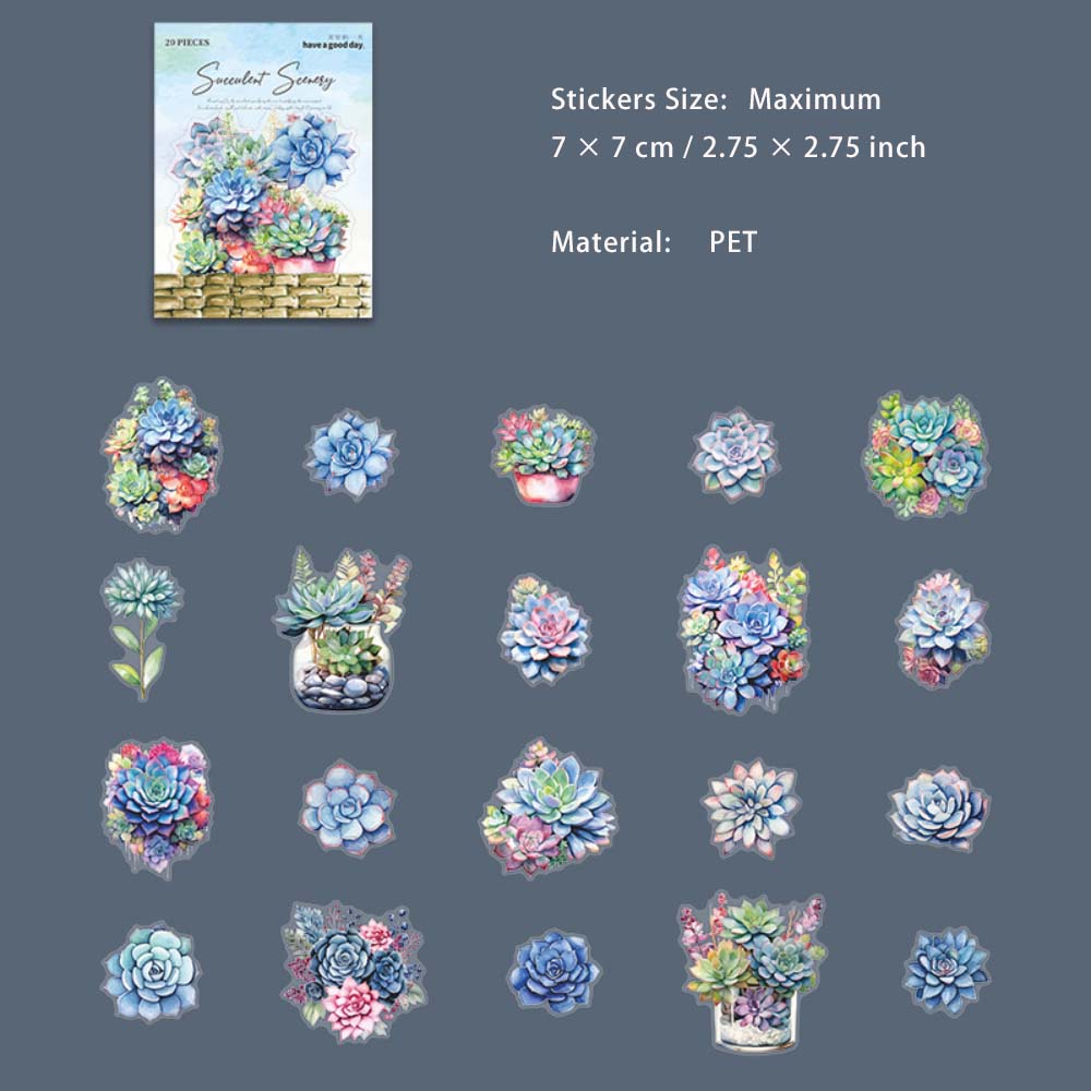 20 Pcs Succulent PET Stickers DRXJ