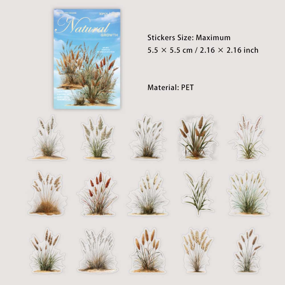 30 Pcs Wild Grass PET Stickers ZRSZ