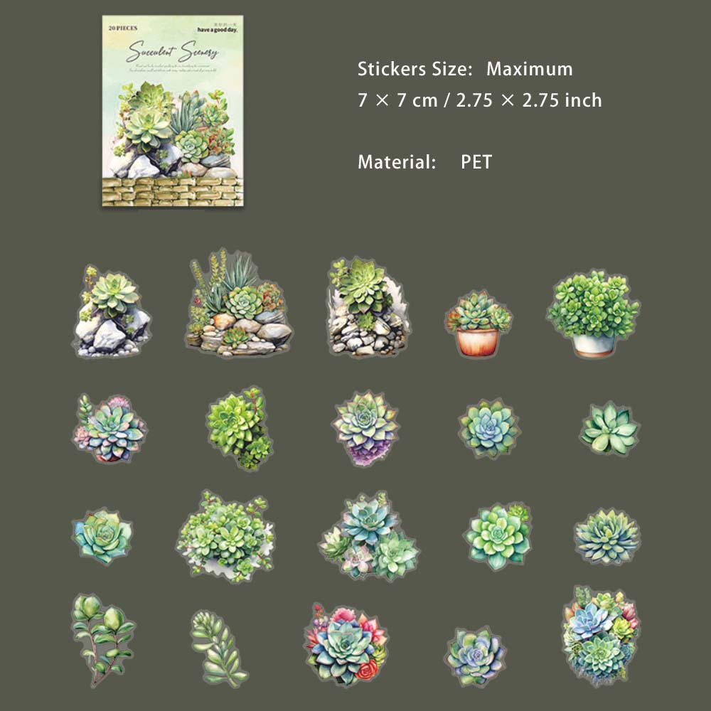 20 Pcs Succulent PET Stickers DRXJ