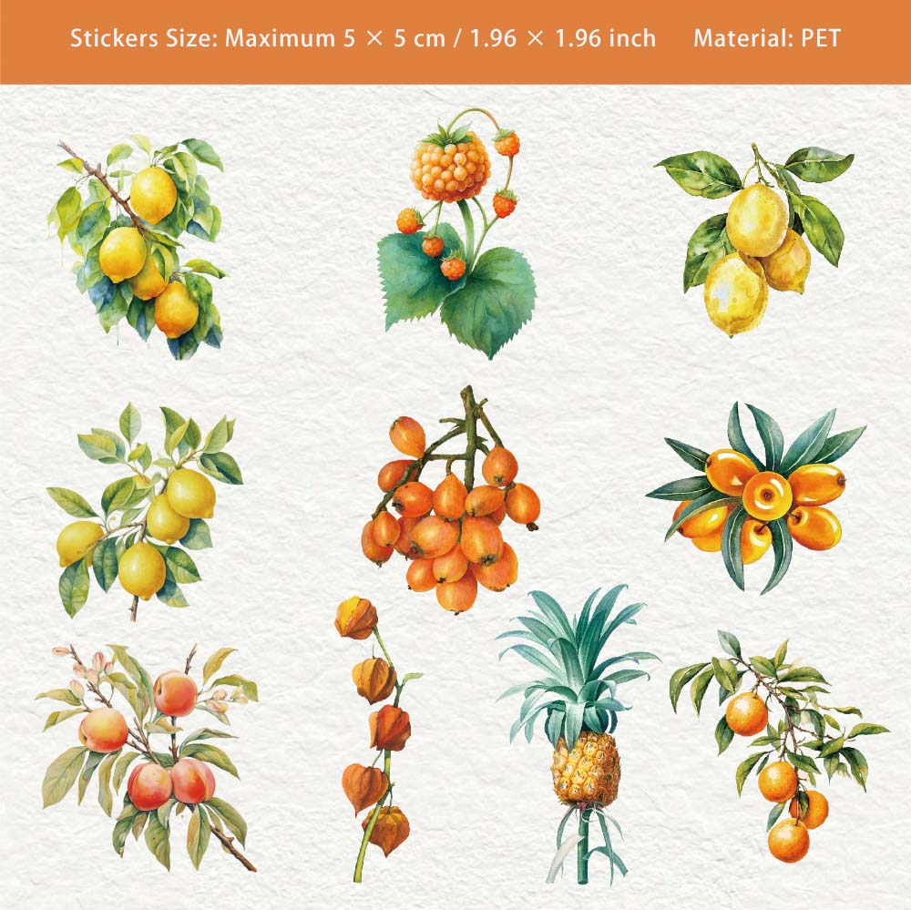 20 Pcs Autumn Harvest Fuits PET Stickers QSXL