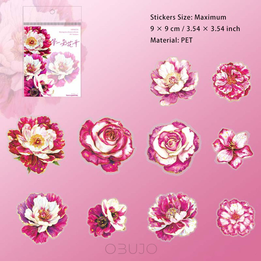 10 Pcs Large Size Hogographic  PET Flower Stickers DYDHK