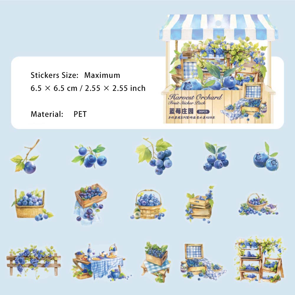 30 Pcs Fruit Shop PET Stickers FSGY