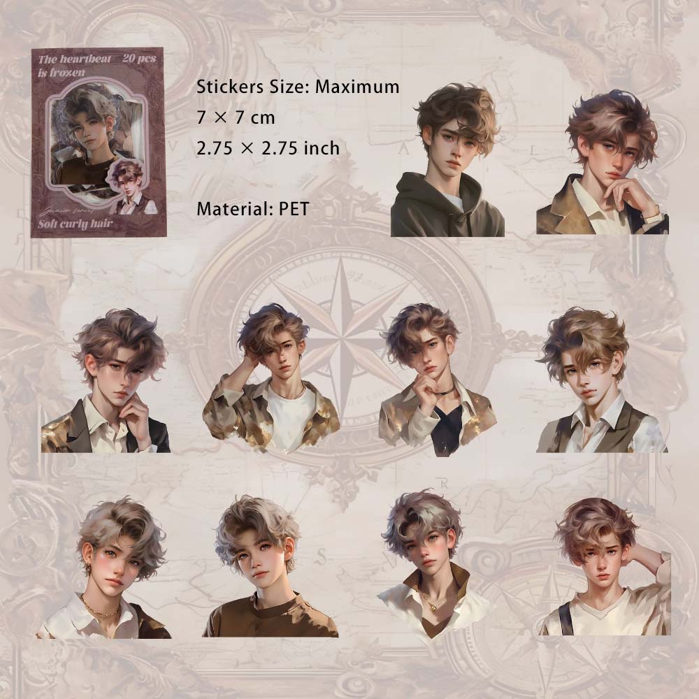 10 Pcs Idol Boy PET Stickers XTDG