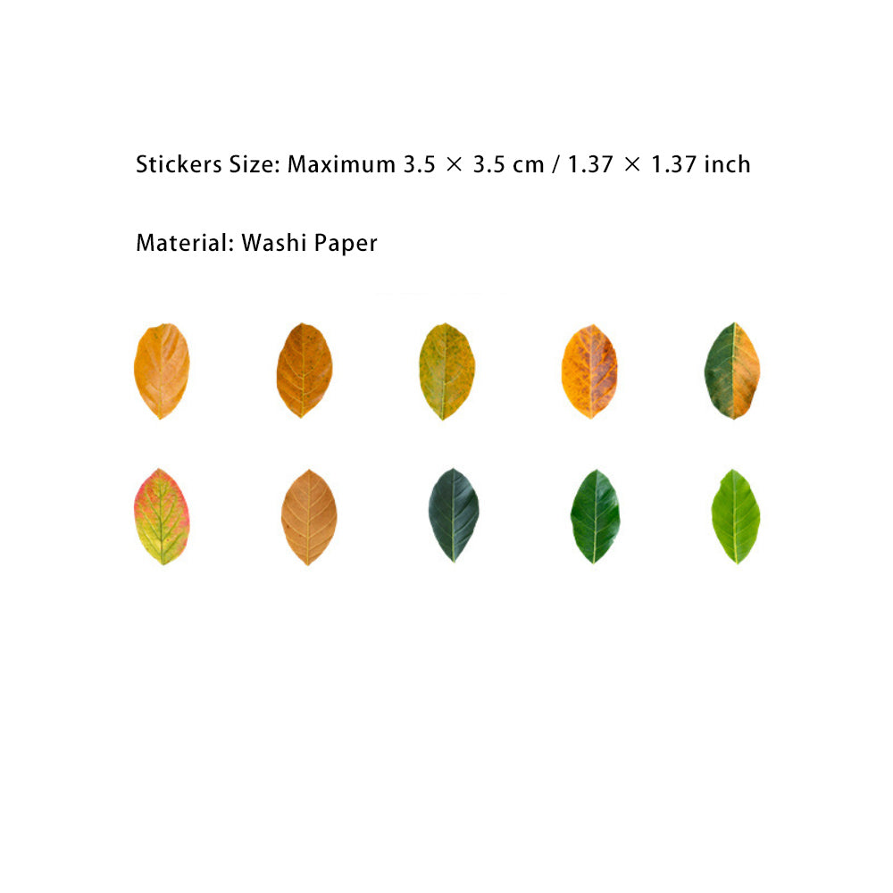 1 Roll Leaf Stickers Tape XXDLY