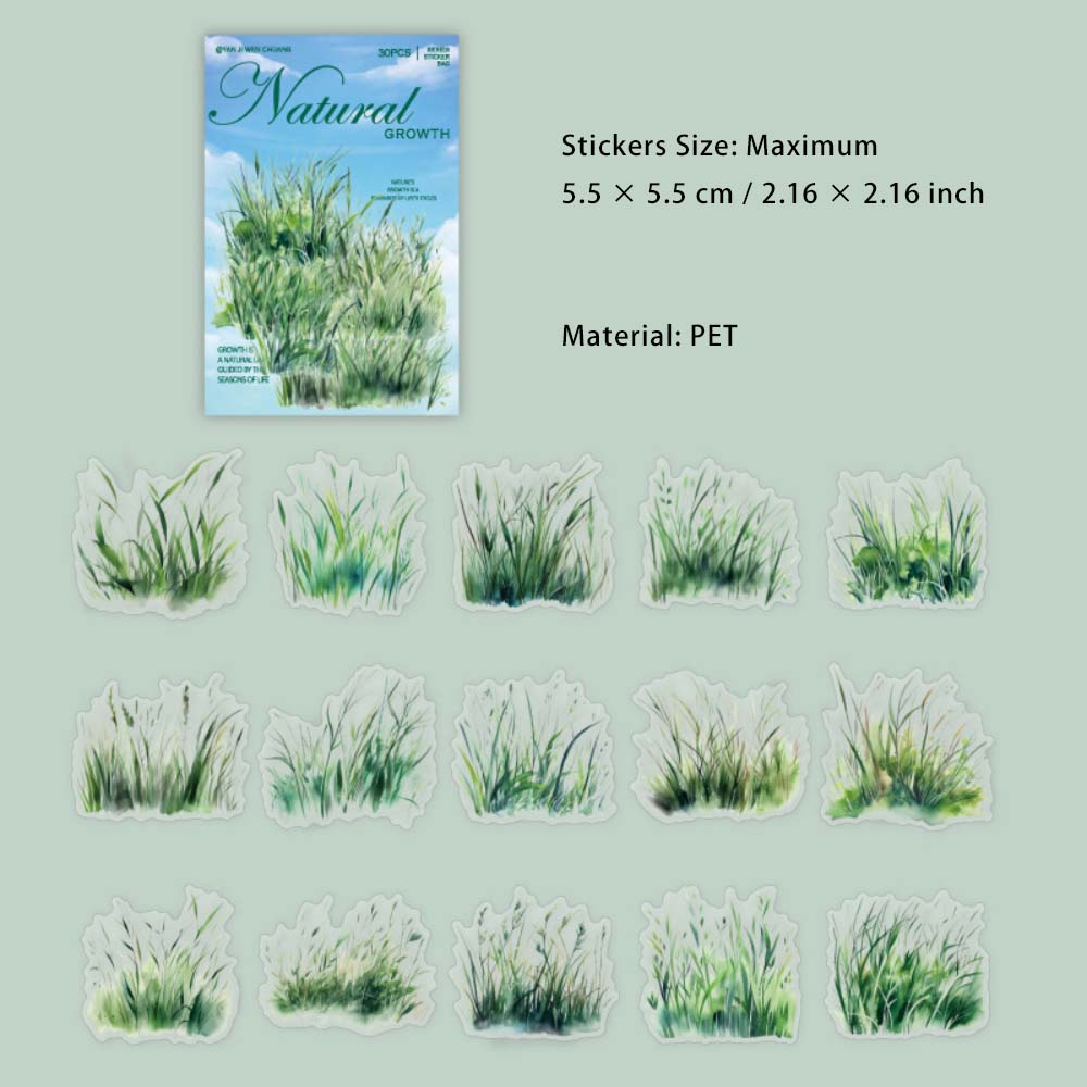 30 Pcs Wild Grass PET Stickers ZRSZ