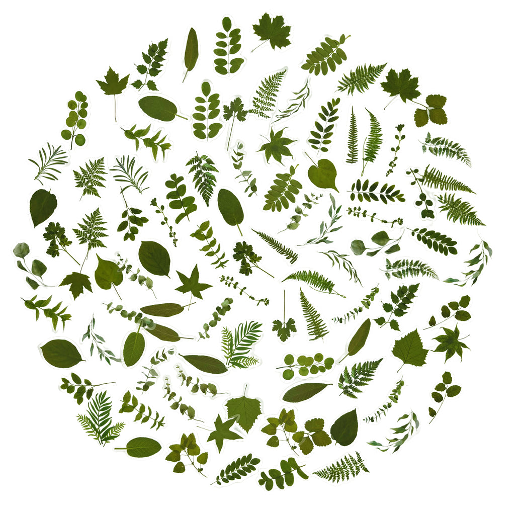 100 Pcs Natural Forest Greenery Leaves Stickers