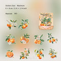 10 Pcs PET Fruit Stickers GXMY