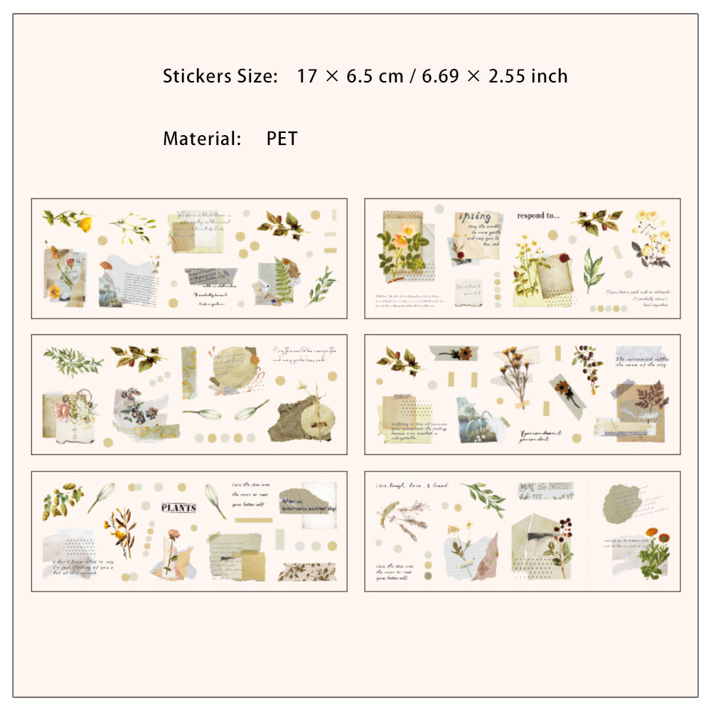 6 Sheets Creative PET Sitckers YLAZM