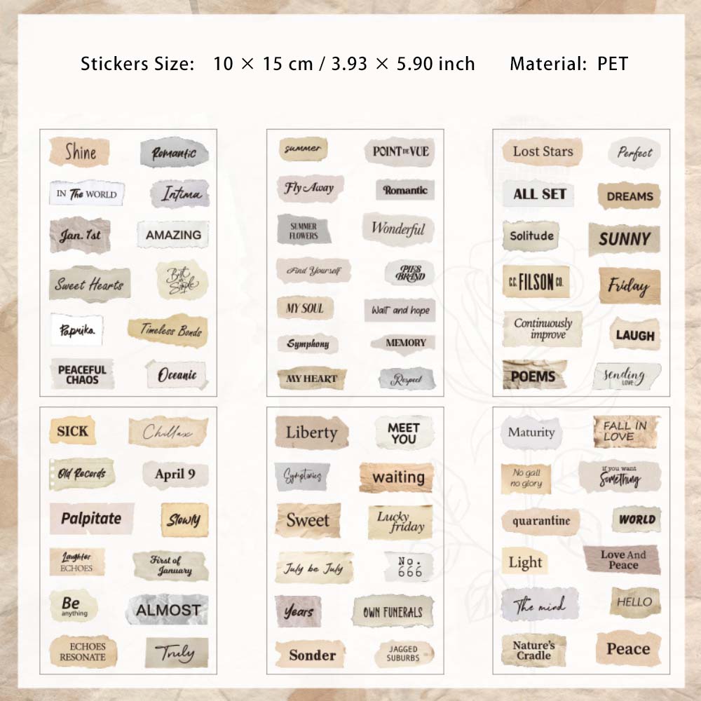 6 Sheets Vintage Words PET Stickers SGHZ