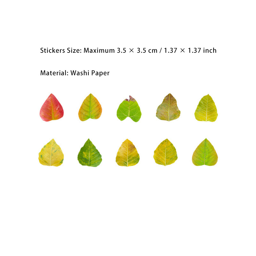 1 Roll Leaf Stickers Tape XXDLY