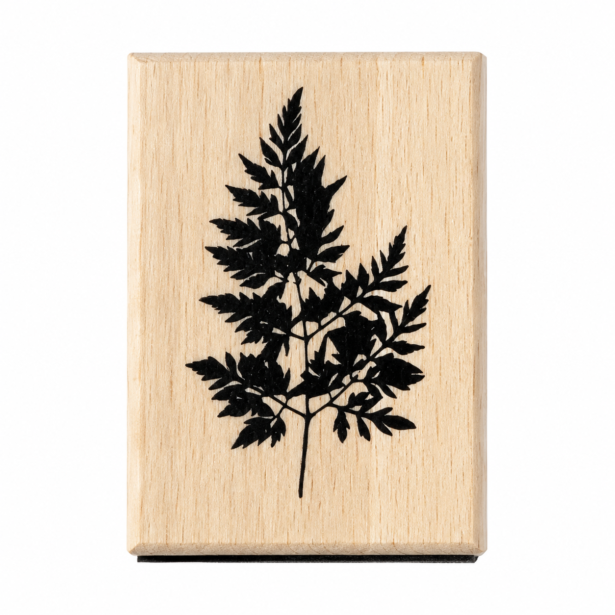 Fern Leaf wooden rubber stamp on pure white background