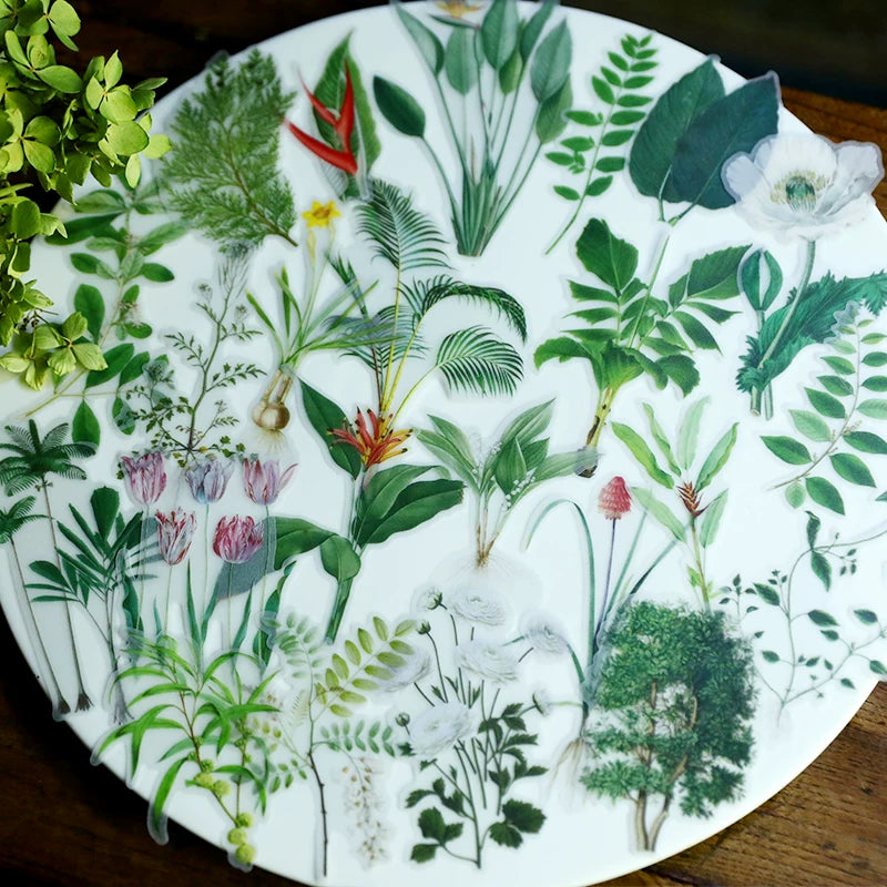 Large vintage butterfly botanical and nature self-adhesive vellum scrapbook stickers 4