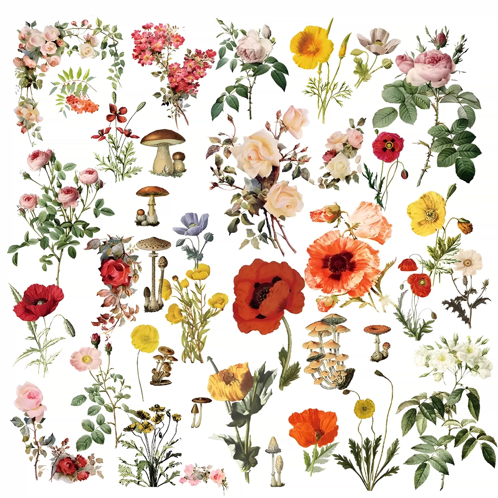 Large vintage floral and mushroom self-adhesive vellum scrapbook stickers 5
