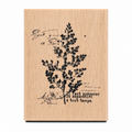 Sketch Leaf wooden rubber stamp on pure white background